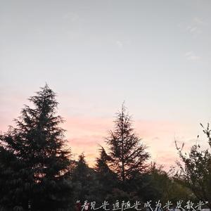 韩国女团赛玩具跳舞视频
